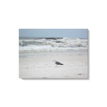 Gaviota junto al océano en lienzo