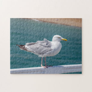 Gaviota sobre el rompecabezas
