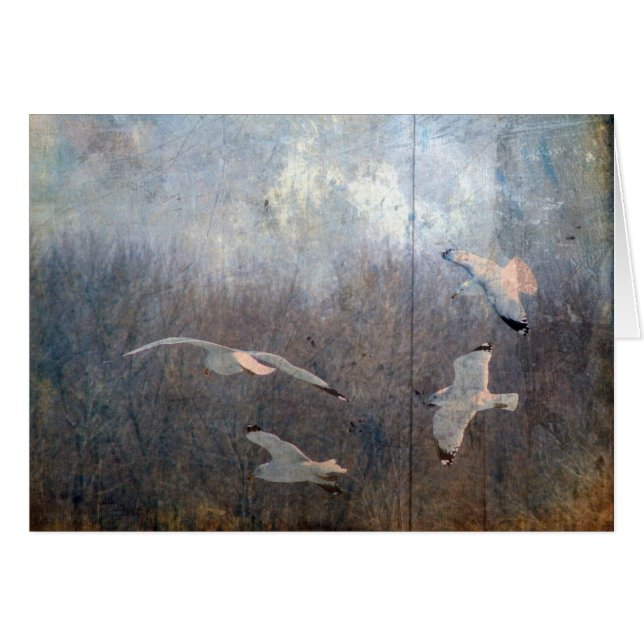 Gaviotas (Anverso (Horizontal))