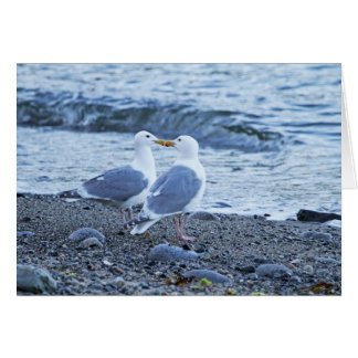 Gaviotas besándose en la foto de la playa