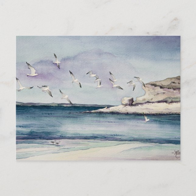 Gaviotas de 1774 en la postal de Sandy Beach (Anverso)