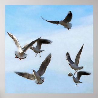 Gaviotas De Cabeza Negra Del Arte Del Bósforo