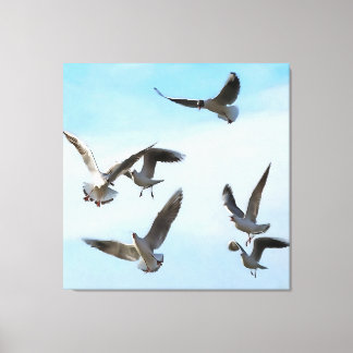 Gaviotas De Cabeza Negra Del Arte Del Bósforo