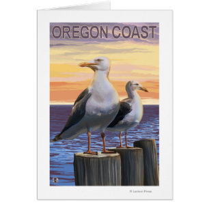 Gaviotas de la costa de Oregon