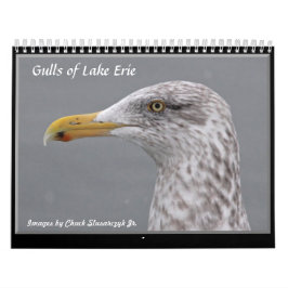 Gaviotas del calendario de pared del lago Erie