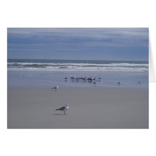 Gaviotas En Desfile (Anverso (Horizontal))