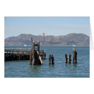 Gaviotas en el muelle de la bahía de San Francisco