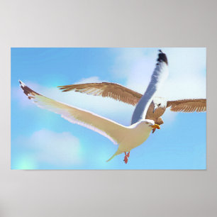 Gaviotas en la impresión de lienzo de vuelo