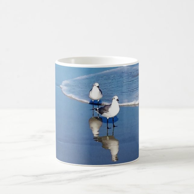 Gaviotas en la taza clásica de la playa (Centro)