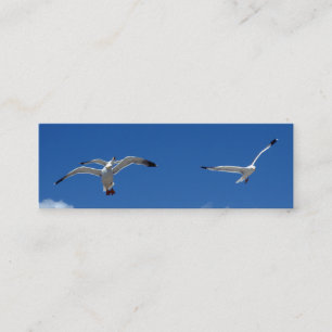 Gaviotas marcador tarjeta de negocios