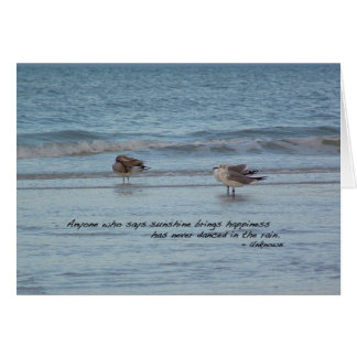 Gaviotas marinas en Nápoles, Florida