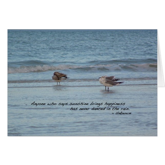 Gaviotas marinas en Nápoles, Florida (Anverso (Horizontal))