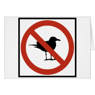 Gaviotas prohibidas