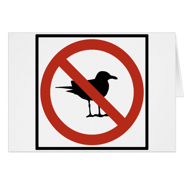 Gaviotas prohibidas (Anverso (Horizontal))
