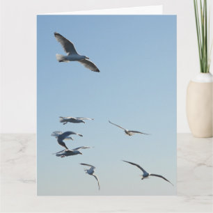 Gaviotas que vuelan Añadir su propia tarjeta de sa