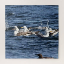 Gaviotas sobre el rompecabezas acrílico de los océ