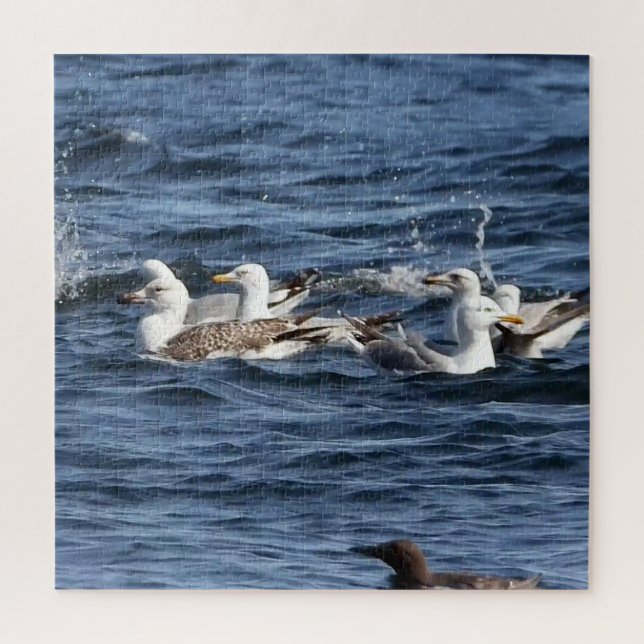 Gaviotas sobre el rompecabezas acrílico de los océ (Vertical)