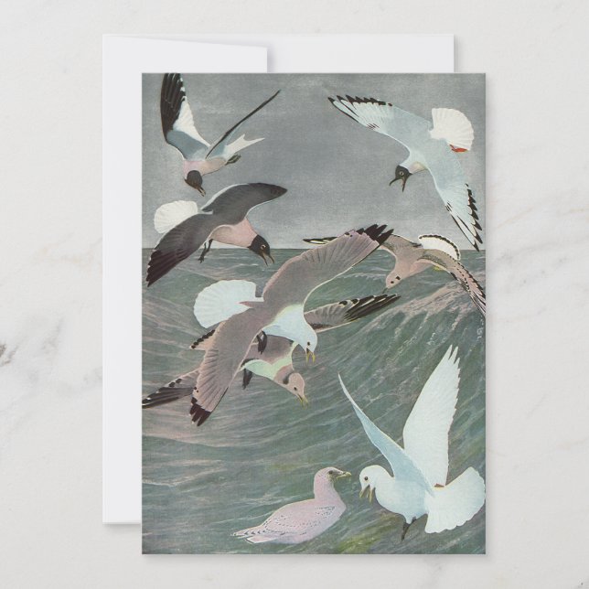 Gaviotas sobre olas oceánicas por Louis Agassiz Fu (Anverso)