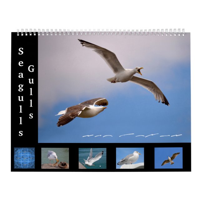 Gaviotas y gaviotas calendario de 12 meses (Tapa)