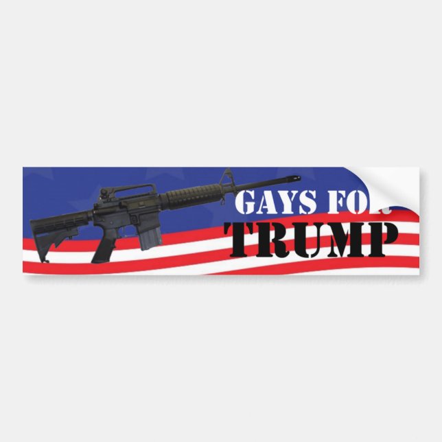Gays para la pegatina para el parachoques del (Frente)