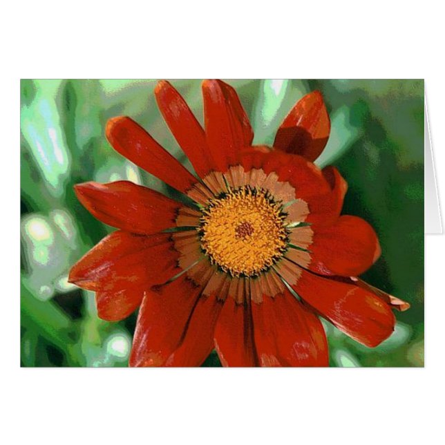 Gazania (Anverso (Horizontal))