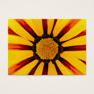 Gazania