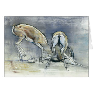 Gazelles de la arena 2009 2