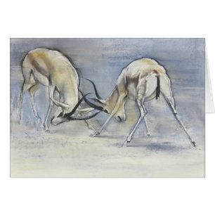 Gazelles de la arena 2009 3