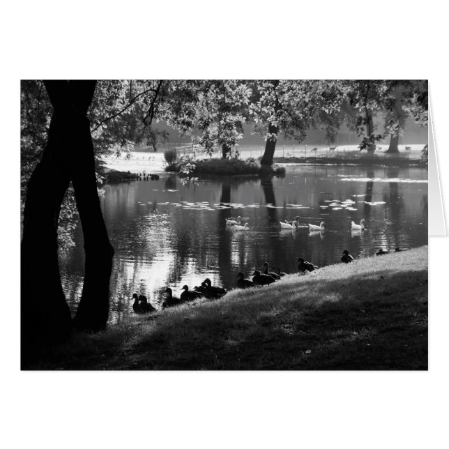 Gccn de Park Life (Anverso (Horizontal))