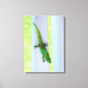 Gecko en Hawaii - Lienzo vertical