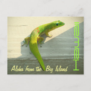 Gecko hawaiano saludo con tarjeta postal