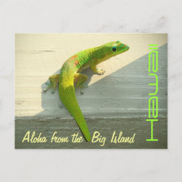 Gecko hawaiano saludo con tarjeta postal