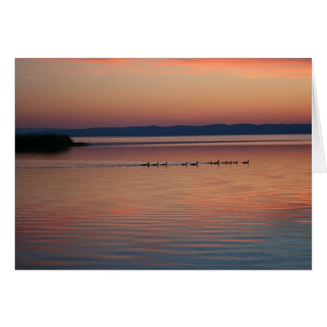 Geese al atardecer (Anverso (Horizontal))