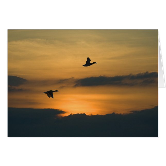Geese al atardecer (Anverso (Horizontal))