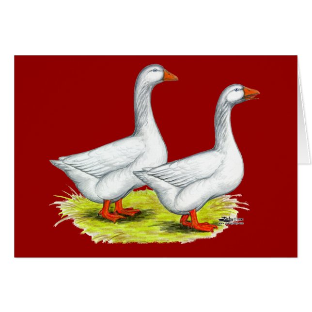 Geese: Embden Pair (Anverso (Horizontal))