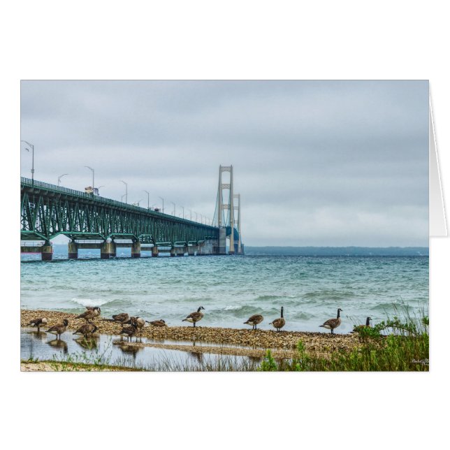 Geese En Mighty Mac (Anverso (Horizontal))