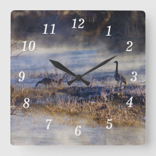 Geese Hablando Un Reloj De Pared Romper