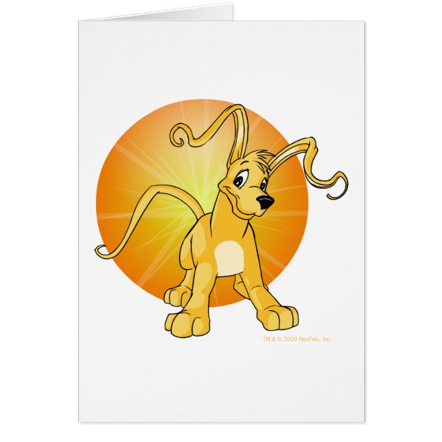 Gelert amarillo juguetón (Frente)