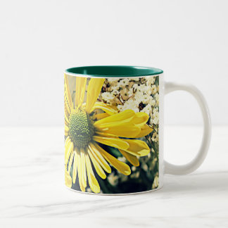 Gemas brillantes de la taza de la tierra