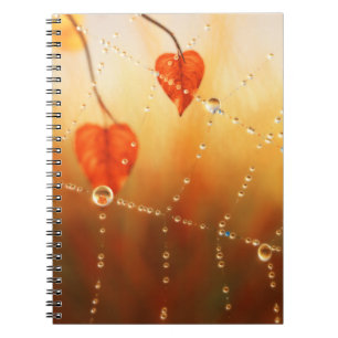 Gemas de un cuaderno matutino