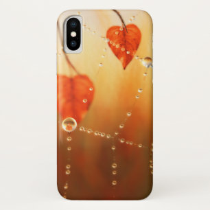Gemas de un Funda de galaxia matutina