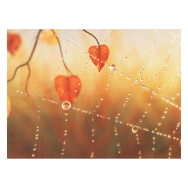 Gemas de un mantel matutino (Frente (Horizontal))