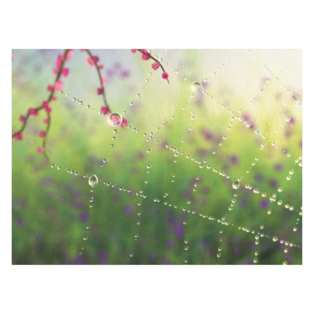 Gemas de un mantel matutino de primavera (Frente (Horizontal))