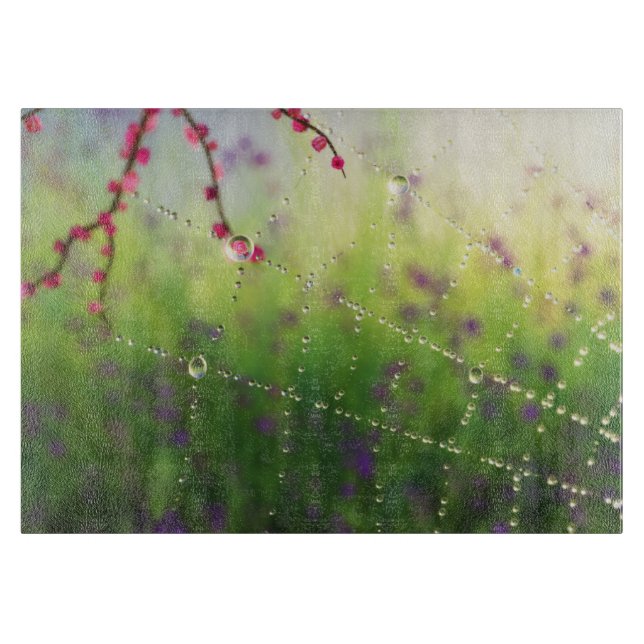 Gemas de una tabla de corte matutino de primavera (Anverso)