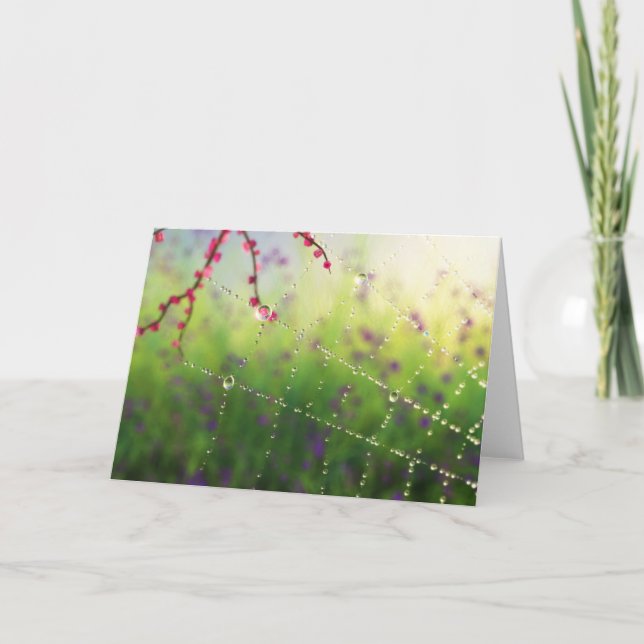 Gemas de una tarjeta matutina de primavera (Anverso)