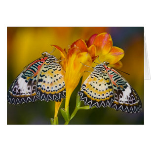 Gemelas Mariposas Tropicales