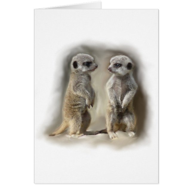 Gemelos del bebé de Meerkat (Frente)