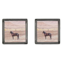 Caballo desierto P8664