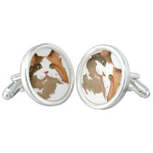 Retrato artístico de gato de Calico teñido de colo