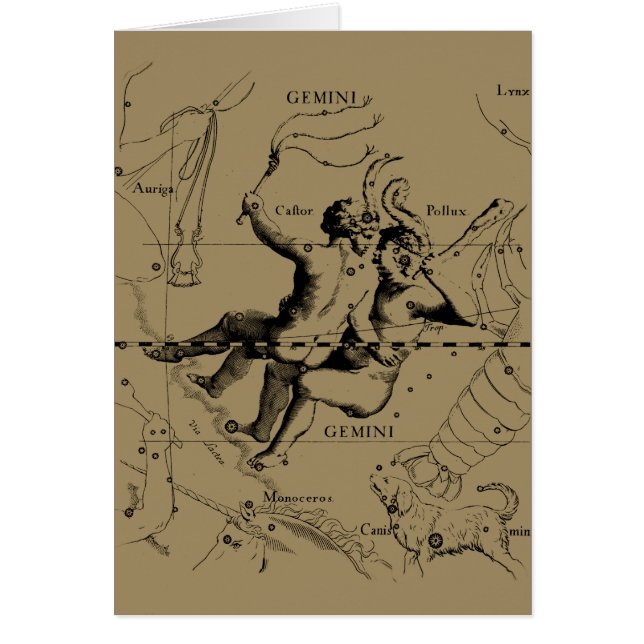 Gemini Constellation Map Hevelius circa 1690 (Frente)